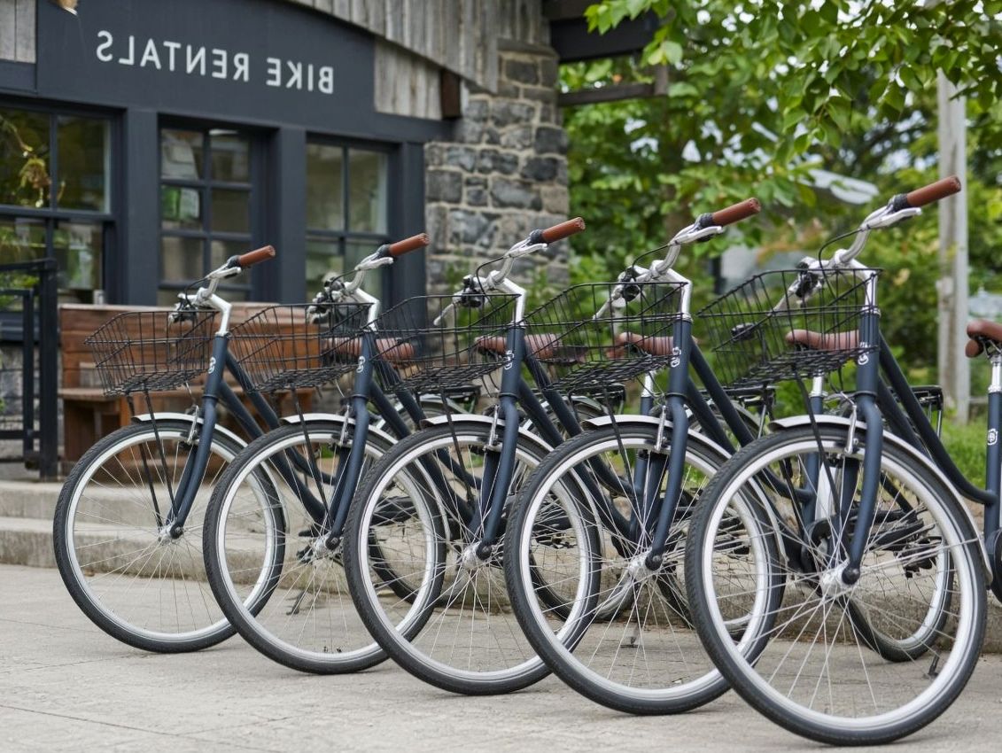 Close view of a bicycle ready to rent